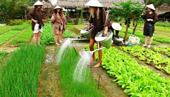 Ri'S House Hoi An Homestay Dış mekan fotoğraf